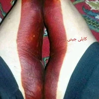 kabuliJeny's profile picture. new account