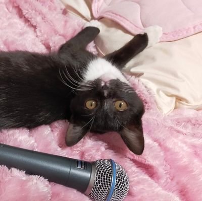 shoko924o's profile picture. ✈️🌈👶☀🐈🏝🤿🐠💕👩‍🍳🍣🍷🧀🍺🎤🎹🎥🏋️🕺🌺🍉@SHOKANECO