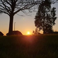 MAL (@mal5364) 's Twitter Profile