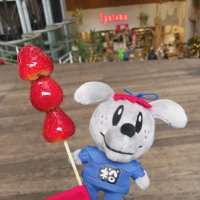 のっち (@taa_17gene) 's Twitter Profile Photo のっち (@taa_17gene) 's Twitter Profile Photo