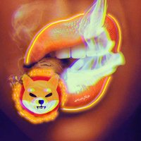 Lovin' Shib! (@nlacksinja) 's Twitter Profile Photo