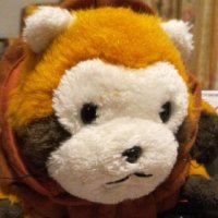 まめさん (@8yo5qjkdb09scxv) 's Twitter Profile Photo まめさん (@8yo5qjkdb09scxv) 's Twitter Profile Photo