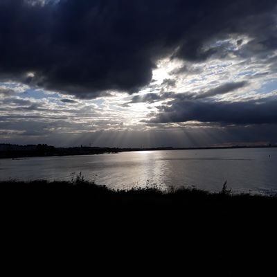 ClionaORourke's profile picture. 