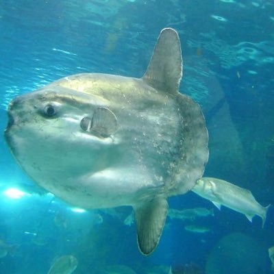 tiendapyme's profile picture. Apoyo #comerciolocal #bar#gestiona tu mismo vía #web #cartaqr #cartavirtual ,tus clientes pediran para llevar o recoger #delivery