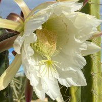 Liz Hall (@lizhallcoaching) 's Twitter Profile Photo Liz Hall (@lizhallcoaching) 's Twitter Profile Photo