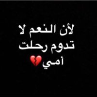 Ommalak aاansari(بنت فيلجا) (@ommalakansari) 's Twitter Profile