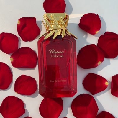 شغف العطور برؤية مختلفة🇸🇦 اقتباسات عطرية ✍️ لقطات من تصويري📱 للتواصل على الخاص📩 #bvlgari #amouage
