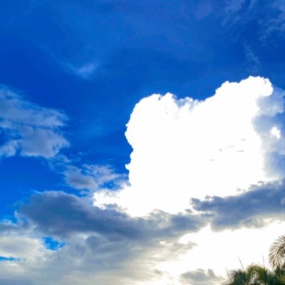 188888888p's profile picture. 