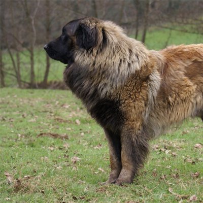 PlafonBad's profile picture. 