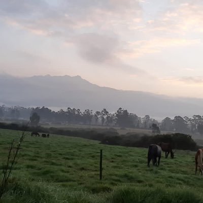 mgrb99's profile picture. 