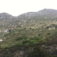 moh-123 (@moh54321011) 's Twitter Profile