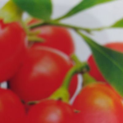 Fruzani2's profile picture. Time is money