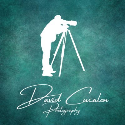 DCucalonPhoto Profile Picture