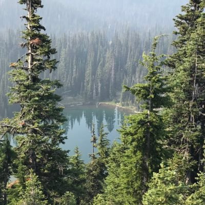 Miss_Norman22's profile picture. CU 22’…Future teacher! 👩🏻‍🏫