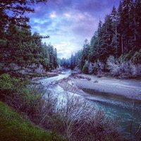 R. A. Moore (@the_new_author) 's Twitter Profile