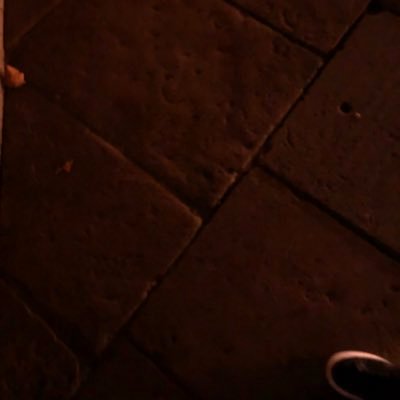 matthewfox1998's profile picture. 