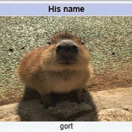 he/they - 19 - nsfw likes and follows ❤D+C❤
gortthecapybara on discord