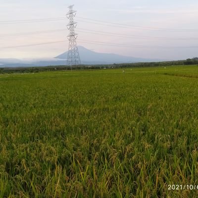 Hidup belajarlah
