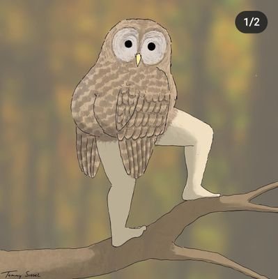 BewilderedOwl93 Profile Picture