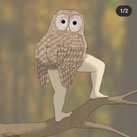 🦉A Rather Bewildered Owl🦉(@BewilderedOwl93) 's Twitter Profile Photo