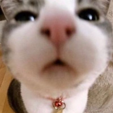 anoseque1's profile picture. 