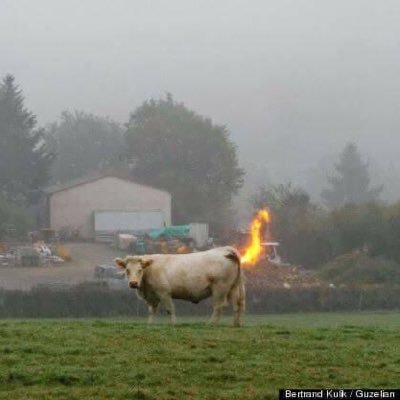 Dairy farmer trying to make enough to pay for next years fertiliser bill! Only thing more depressing at the moment is supporting Man Utd