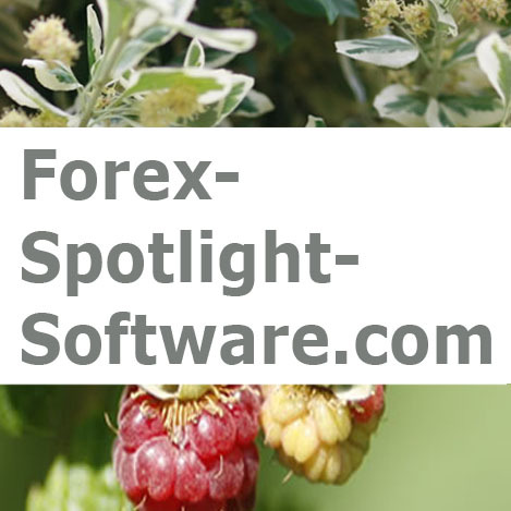 forexspotlight's profile picture. You can maximize your profit potential trading Forex.  If you change just 1 aspect of your trading, you can increase your odds of success in forex trading.