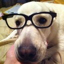 Ash - @AustinAsh99 - Twitter