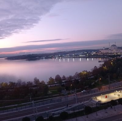 Merii342's profile picture. 