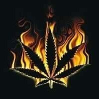 XYZ_AMS's profile picture. Creator of The Separator™