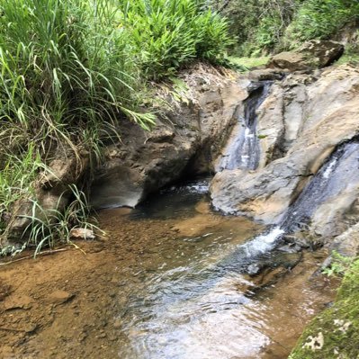 _gigi_freda's profile picture. Marketing | Public Relations & Media Executive