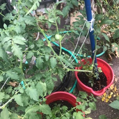 Michell40633786's profile picture. Cool and positive