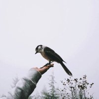 Eda (@kocak__eda) 's Twitter Profile