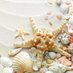 I sell seashells (@tisityourself) Twitter profile photo