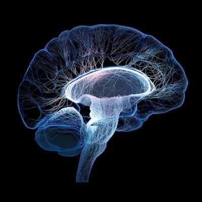 Dr. Gabriella Gobbi’s Neurobiological Psychiatry Unit at McGill University | Researching psychedelics, melatonin, cannabis, pain, depression & more 🥼🧠🔬