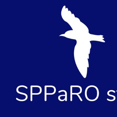 SPPaRO study 
University of Oxford. Priorities for paranoia research. Persecutory delusions. Cognitive approaches to psychosis.