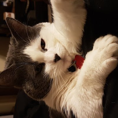 KimHawk90267503's profile picture. 