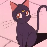 たぐ🌙 (@_tag_rn_) 's Twitter Profile Photo たぐ🌙 (@_tag_rn_) 's Twitter Profile Photo