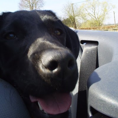 MilesFlower3's profile picture. 