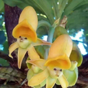 María agueda Labrada - @AguedaLabrada - Twitter