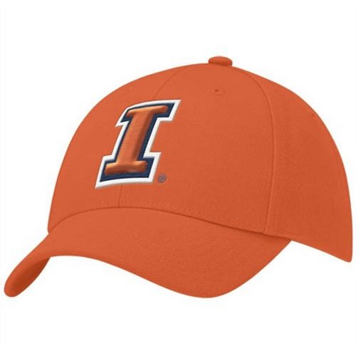 I'm a U of I Graduate who loves Illini basketball
and Chicago sports teams!