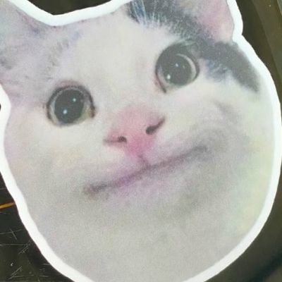 skutnik420's profile picture. 