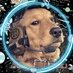 Necesito un 🐶 en mi vida (@necesitounperro) Twitter profile photo Necesito un 🐶 en mi vida (@necesitounperro) Twitter profile photo
