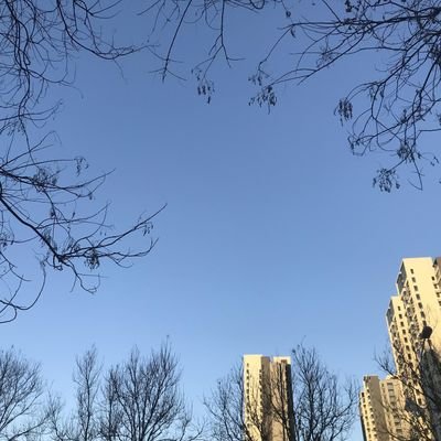 lmj19941226's profile picture. #byebyebirdie  Left to Phaver