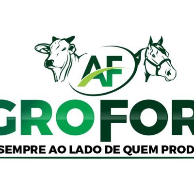 PabloCristovao3's profile picture. 