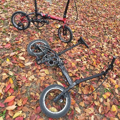 Ohiba569's profile picture. 自転車とコーヒー、ピラティスが趣味です。