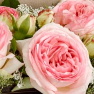 mk092516's profile picture. 