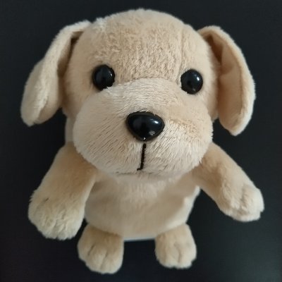 Rolan39508737's profile picture. 東京街歩きとサイクリング #TokyoRide
東京(だけでない)食べ歩き #Eats
音楽 #TMNETWORK(#FANKS) #Bz #trf #globe etc..
IT #AWS #Linux #Networking #IPA-AP/NW/SC/PM
その他 #Duolingo