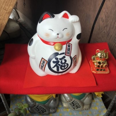 Twitter初心者🍀|
無言フォロー失礼します🙏
楽天roomはじめました。
🔗https://t.co/UGhyKC16vM
