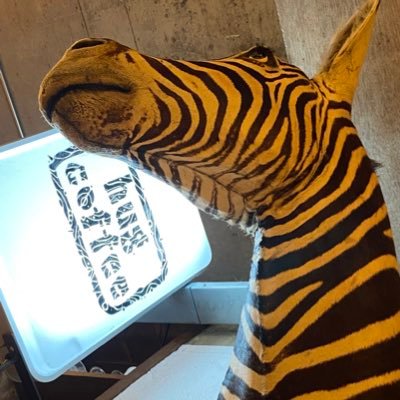フラジールさんのプロフィール画像